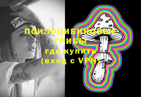 ПСИЛОЦИБИНОВЫЕ ГРИБЫ Арсеньев