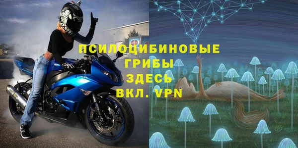 кокс Алексин