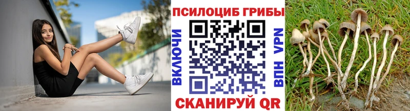 как найти закладки  Нарткала  Псилоцибиновые грибы Psilocybine cubensis 