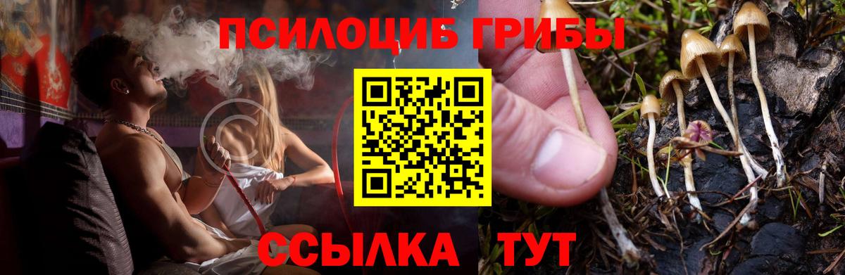 Нарткала  Галлюциногенные грибы GOLDEN TEACHER  Вход с VPN 